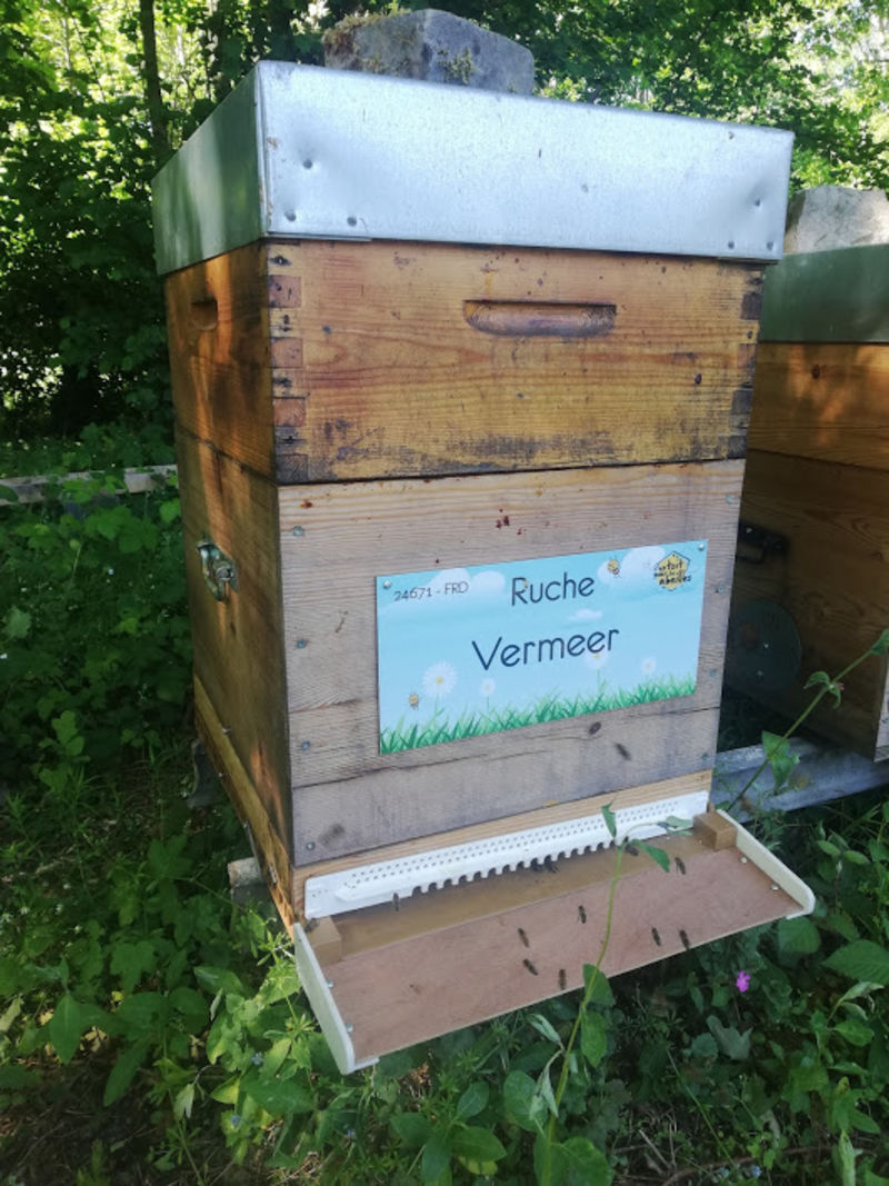 La ruche Vermeer 
