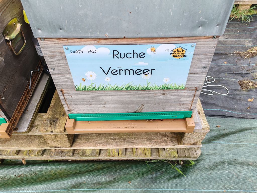 La ruche Vermeer 