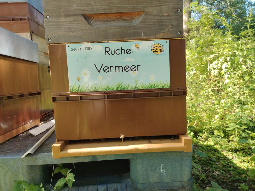 La ruche Vermeer