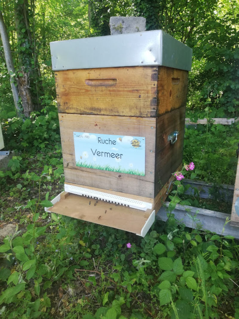 La ruche Vermeer 