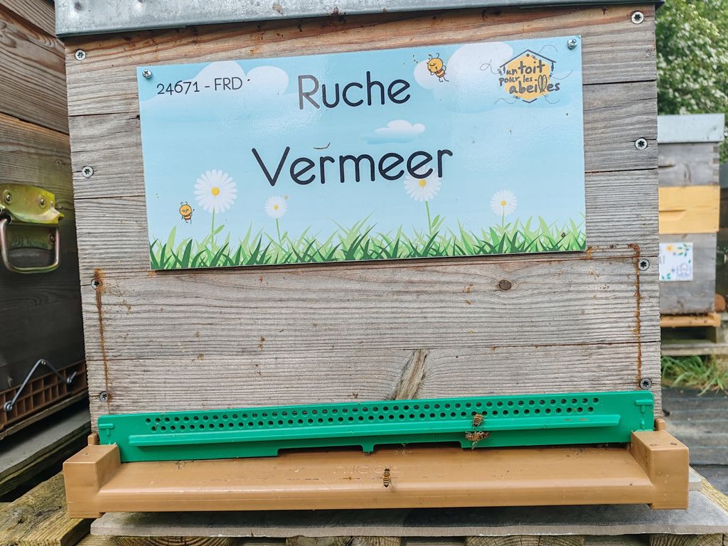 La ruche Vermeer 