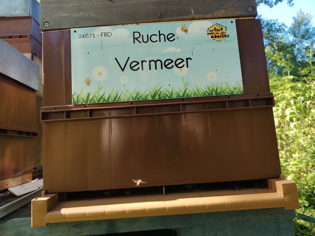 La ruche Vermeer