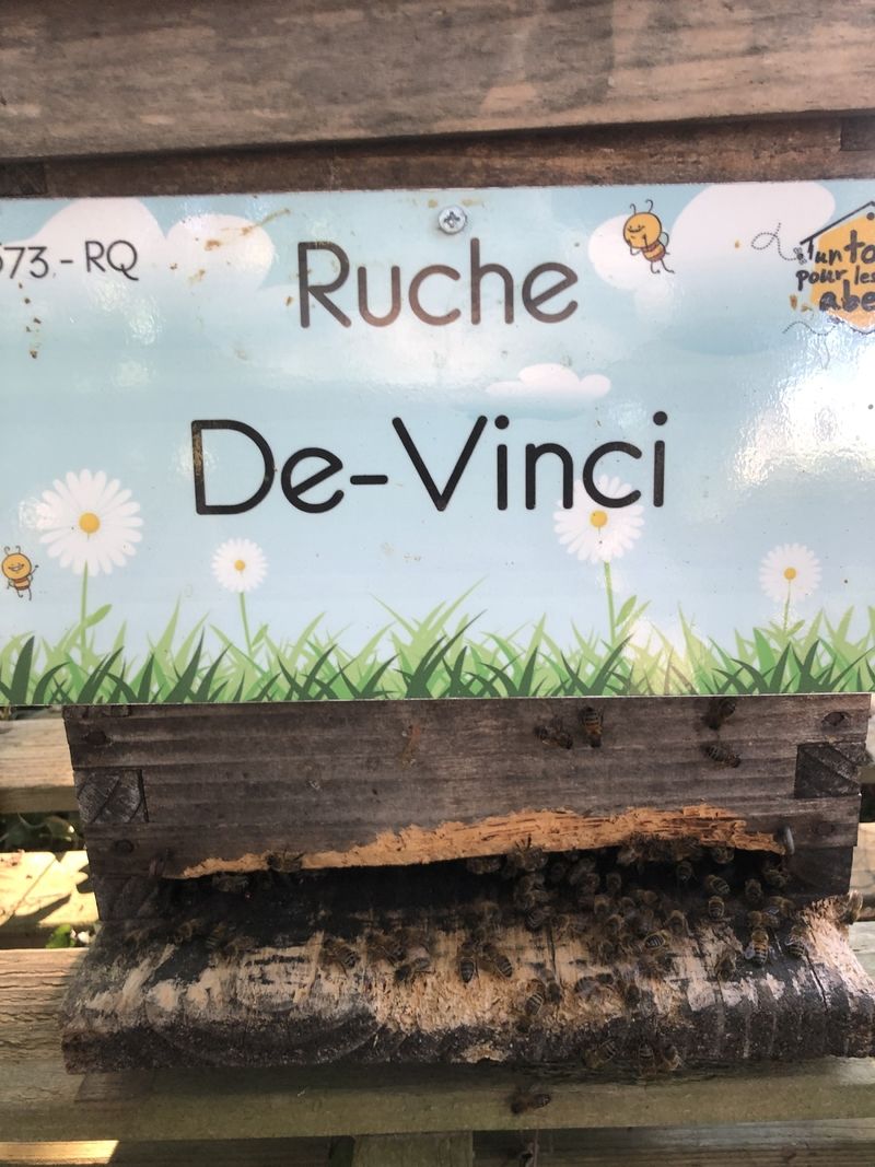 La ruche De-Vinci 