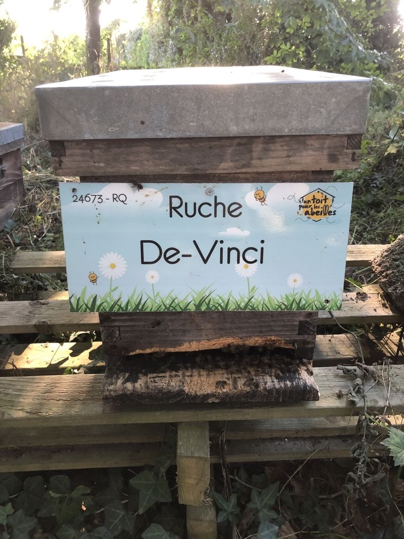 La ruche De-Vinci 