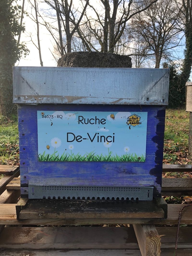 La ruche