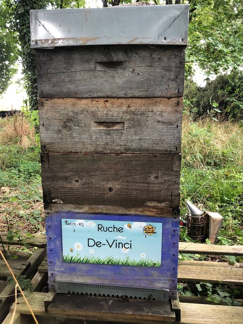 La ruche De-Vinci 