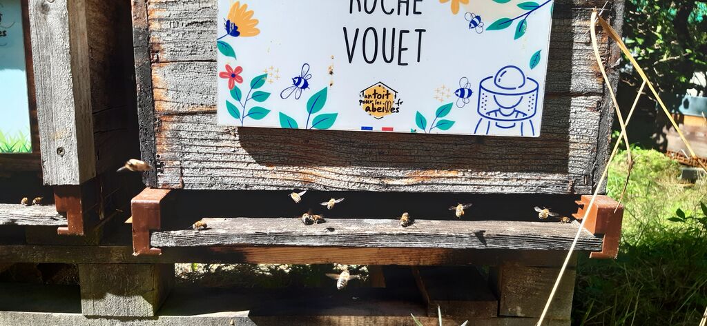 La ruche Vouet