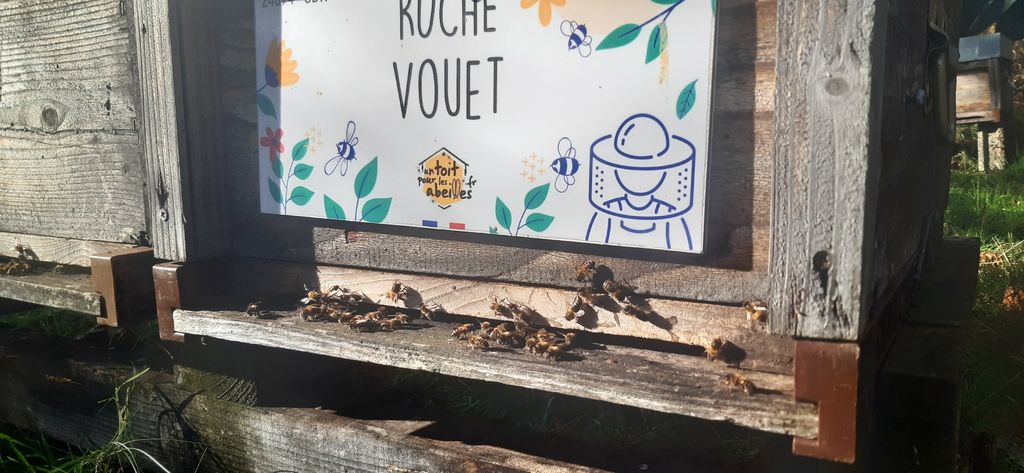 La ruche Vouet