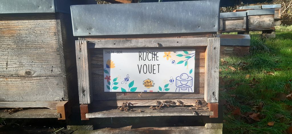 La ruche Vouet