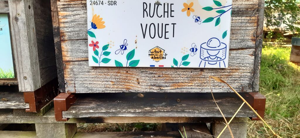 La ruche Vouet