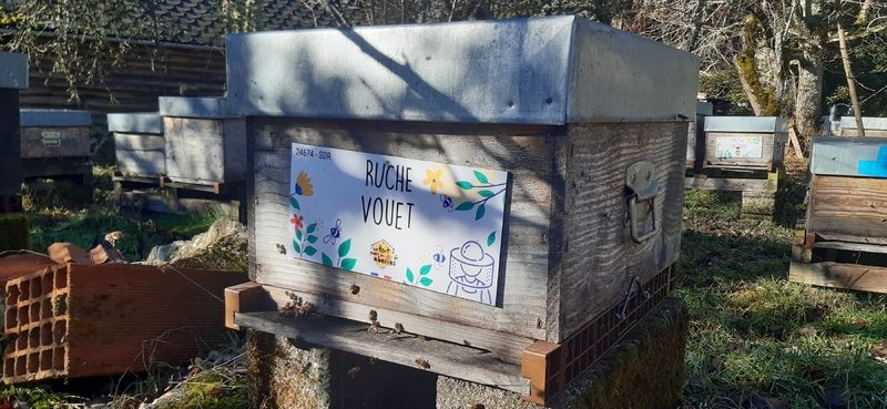 La ruche Vouet