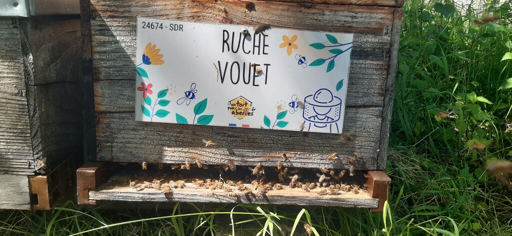 La ruche Vouet