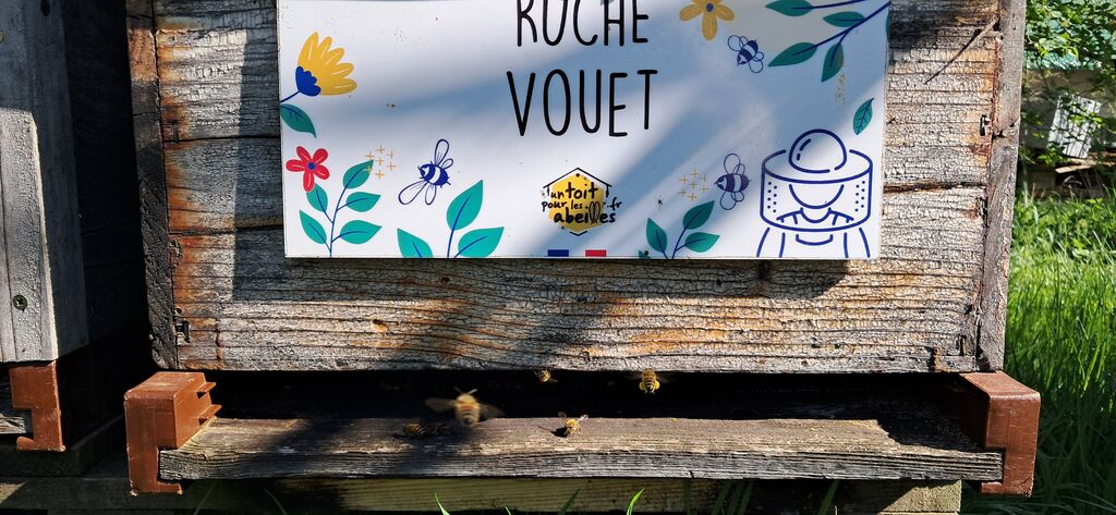 La ruche Vouet