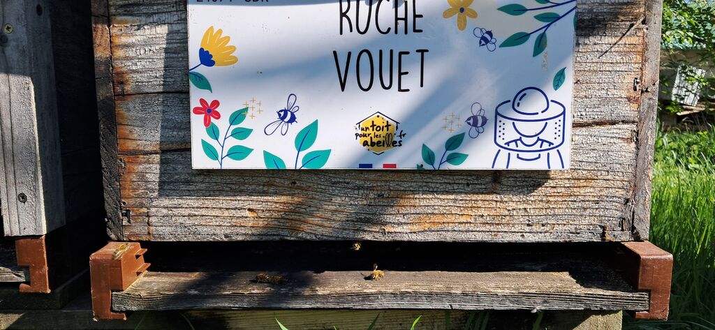 La ruche Vouet