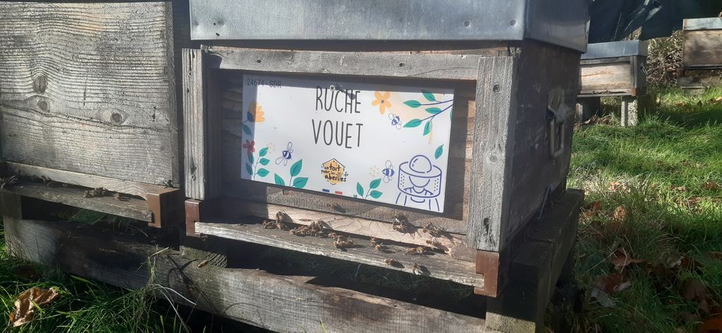 La ruche Vouet