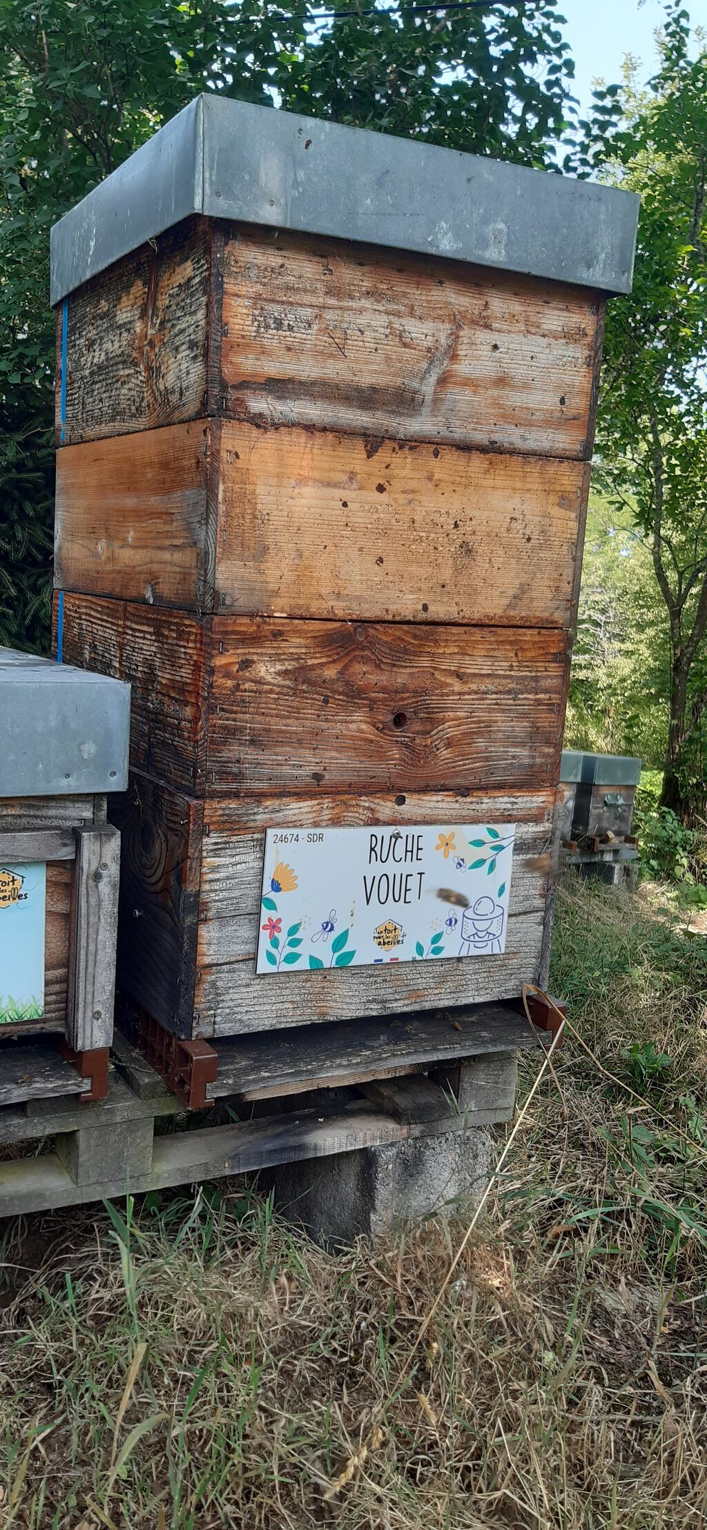 La ruche Vouet