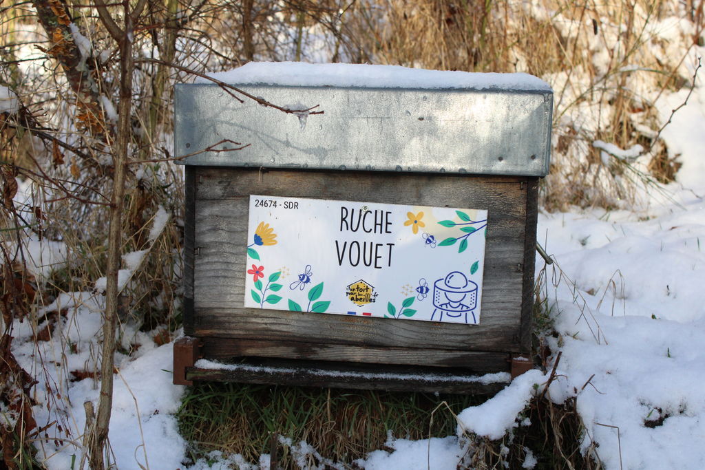 La ruche Vouet