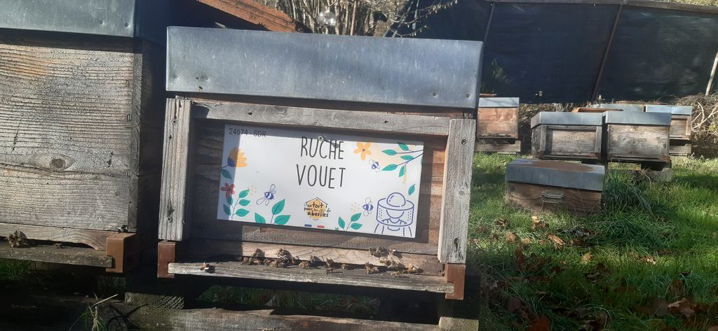 La ruche Vouet