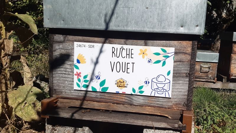 La ruche Vouet