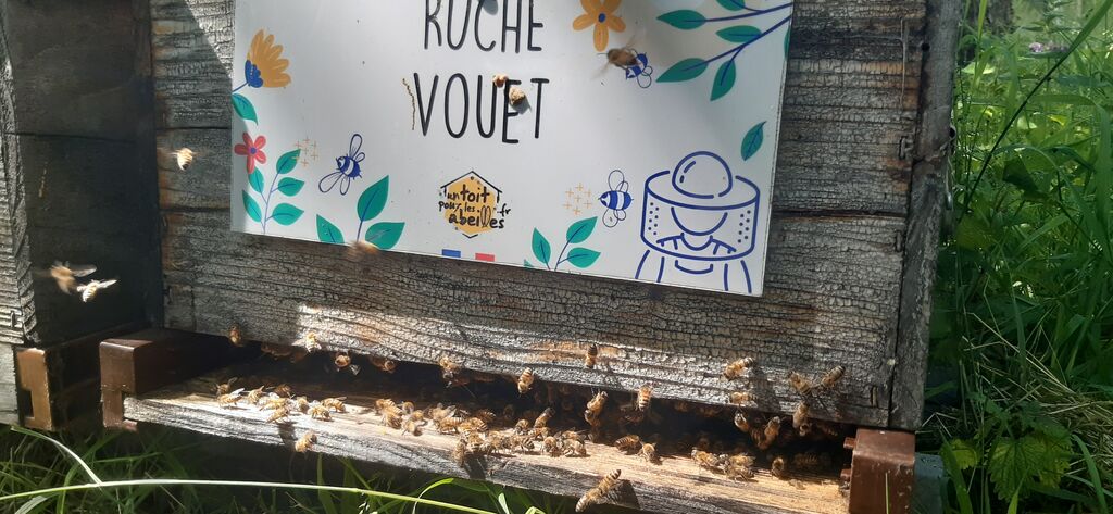 La ruche Vouet