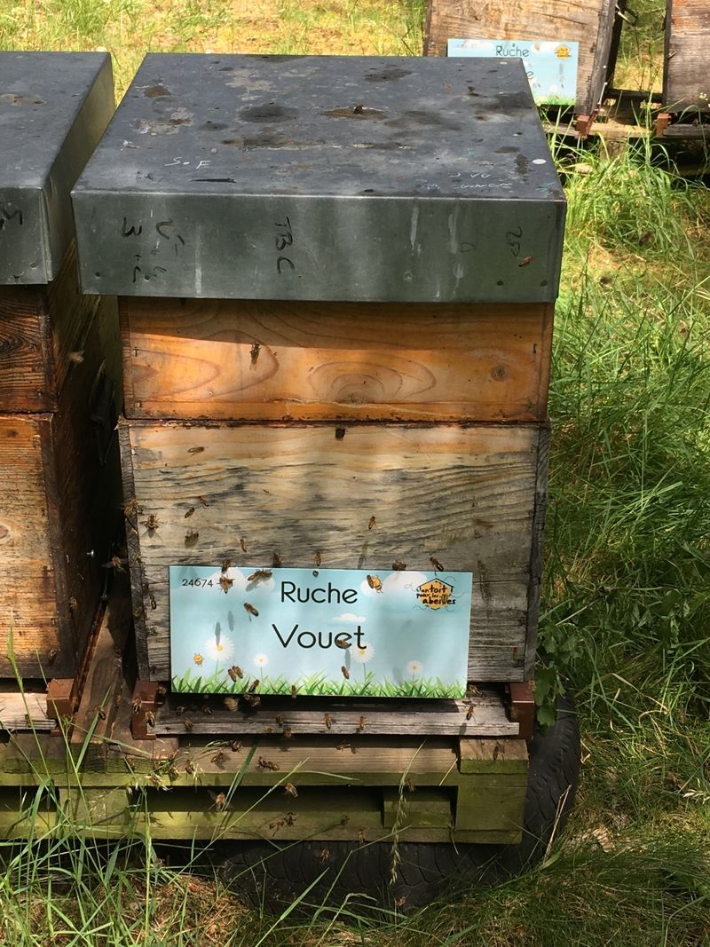 La ruche Vouet