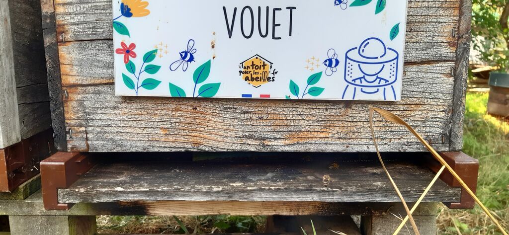 La ruche Vouet