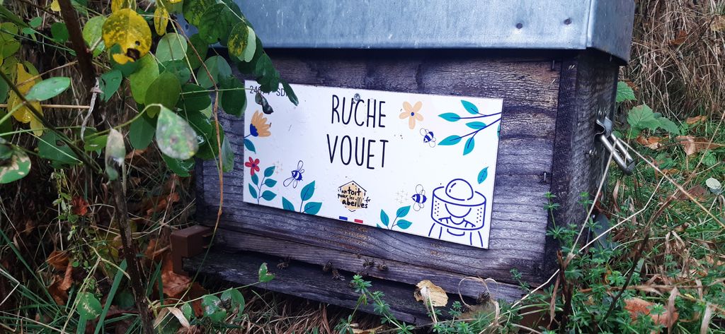 La ruche Vouet