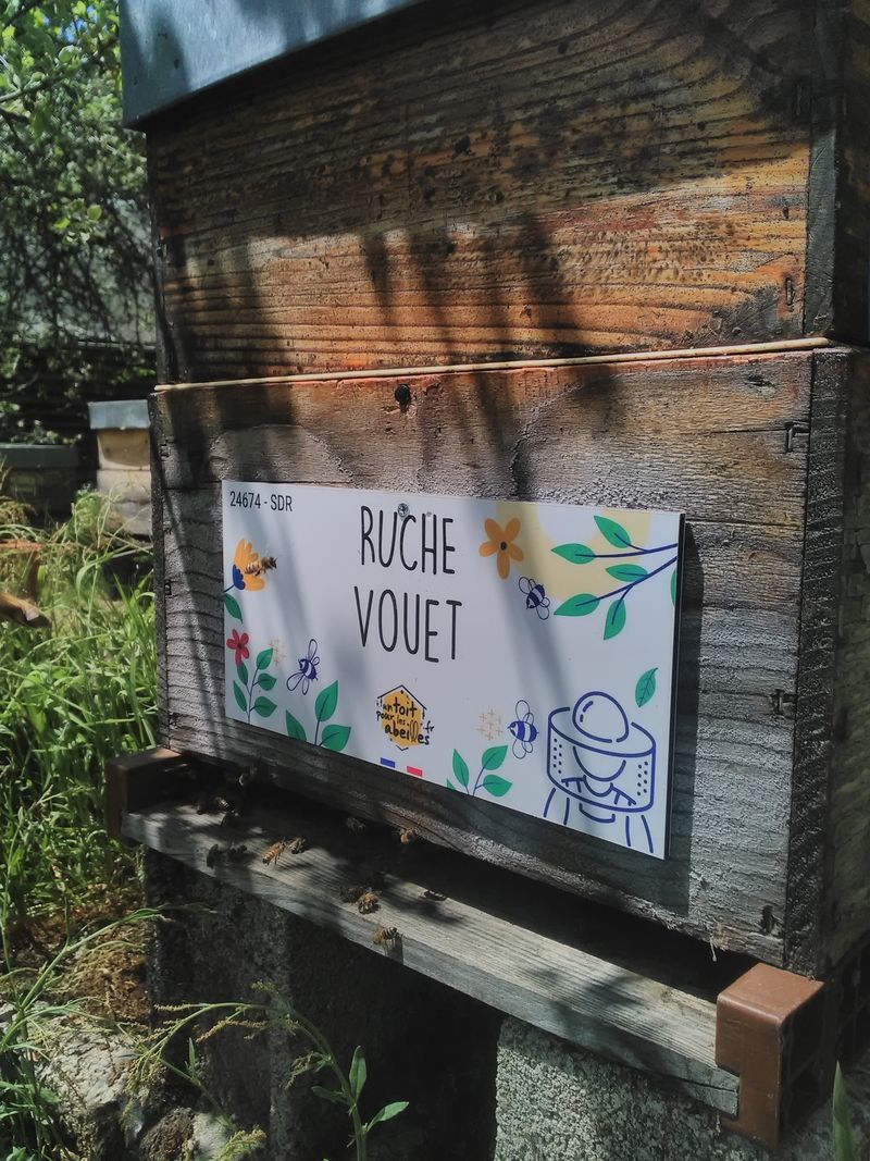 La ruche Vouet