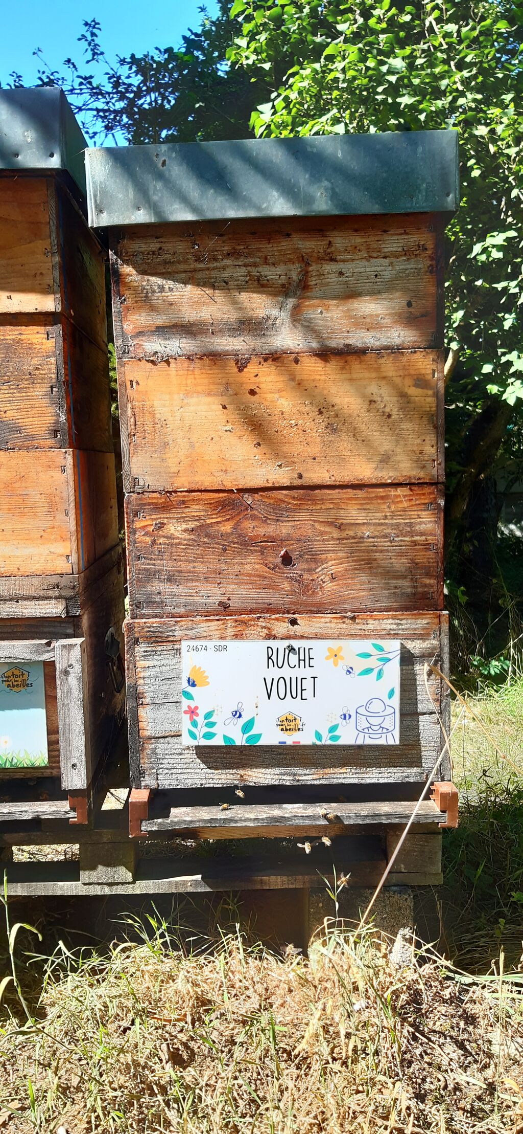 La ruche Vouet