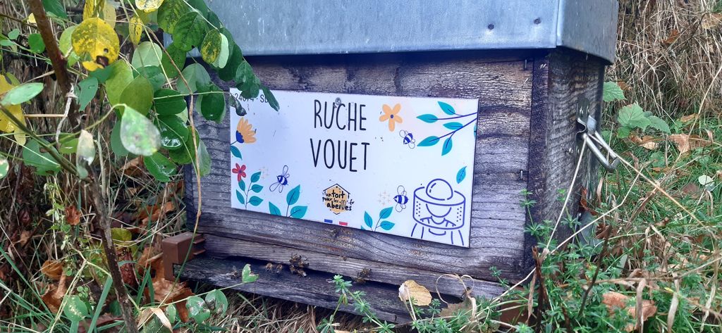 La ruche Vouet