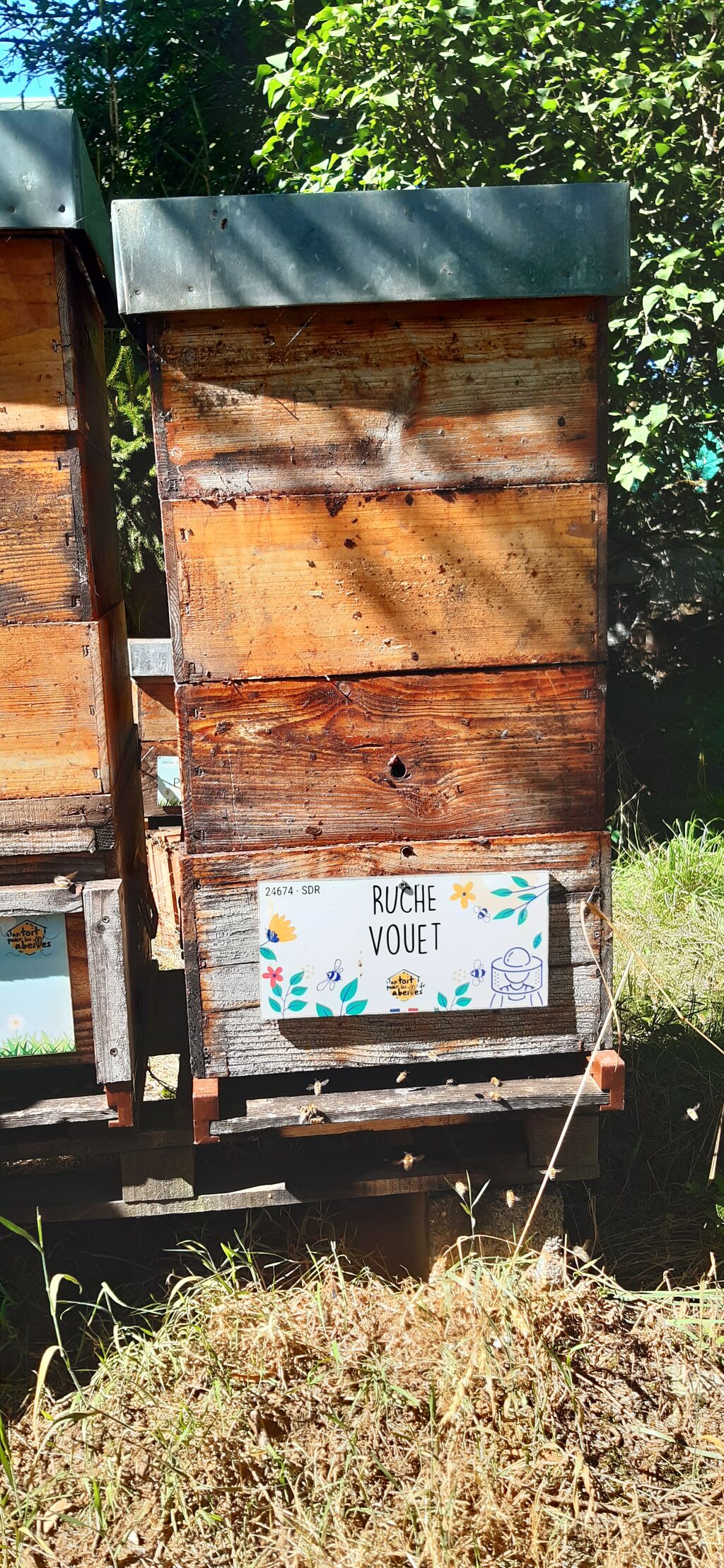 La ruche Vouet
