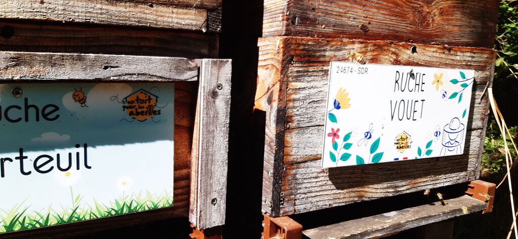 La ruche Vouet