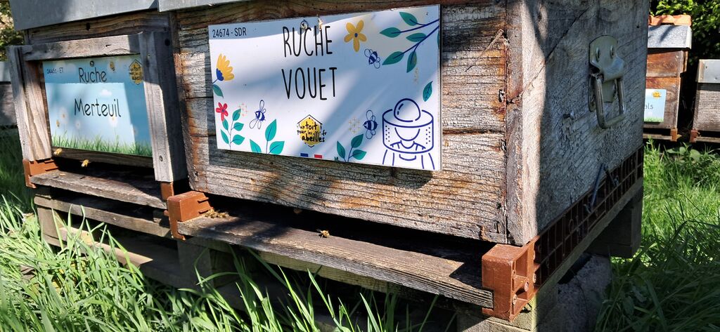 La ruche Vouet