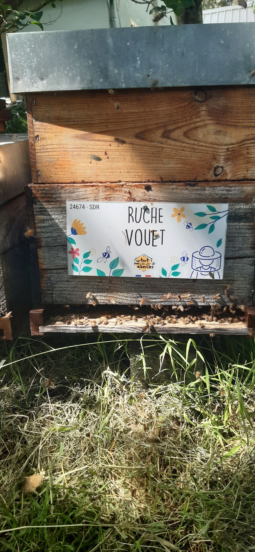 La ruche Vouet