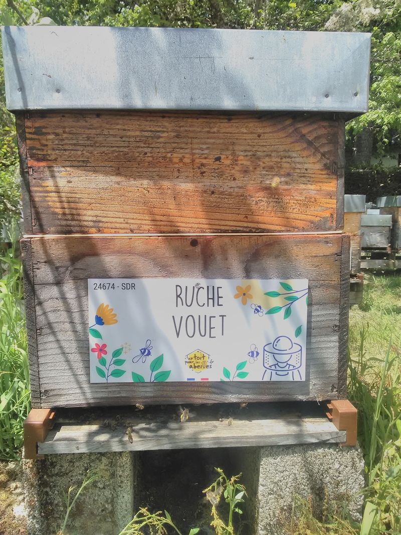 La ruche Vouet