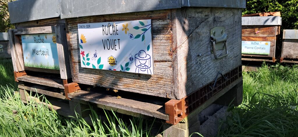 La ruche Vouet