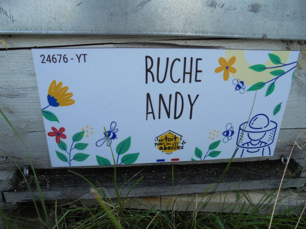 La ruche Andy