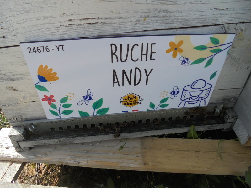 La ruche