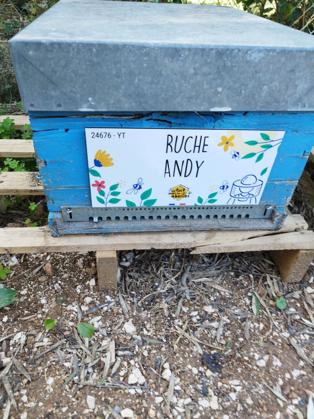 La ruche Andy