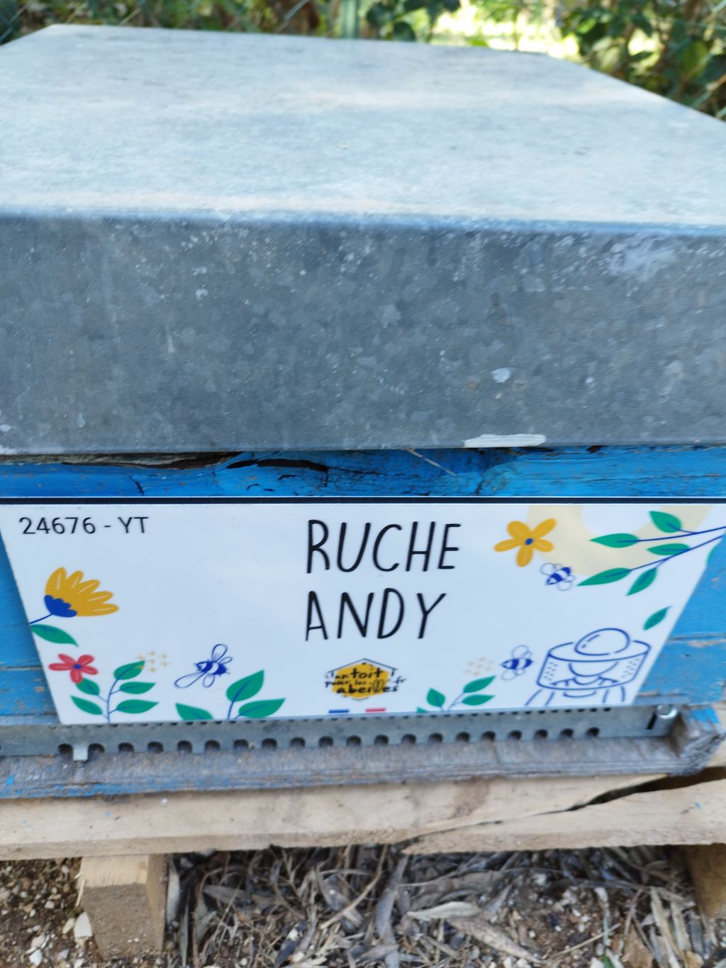 La ruche Andy
