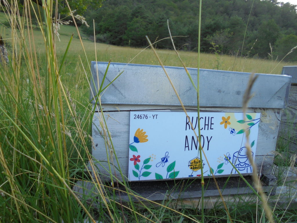 La ruche