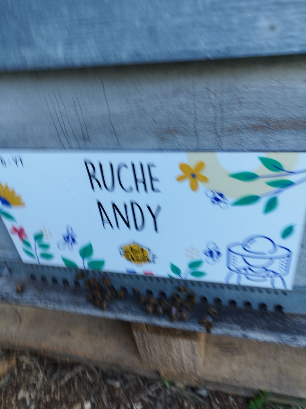 La ruche Andy