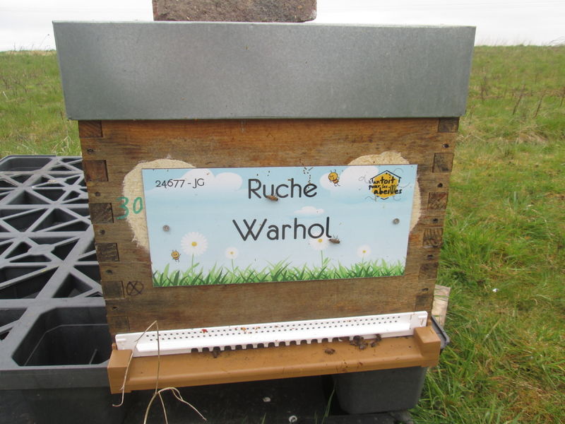 La ruche Warhol