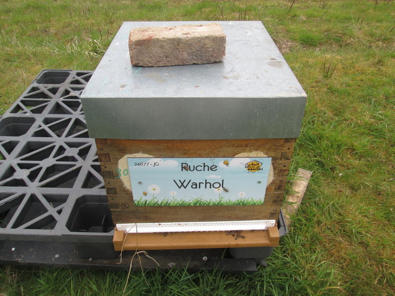 La ruche Warhol