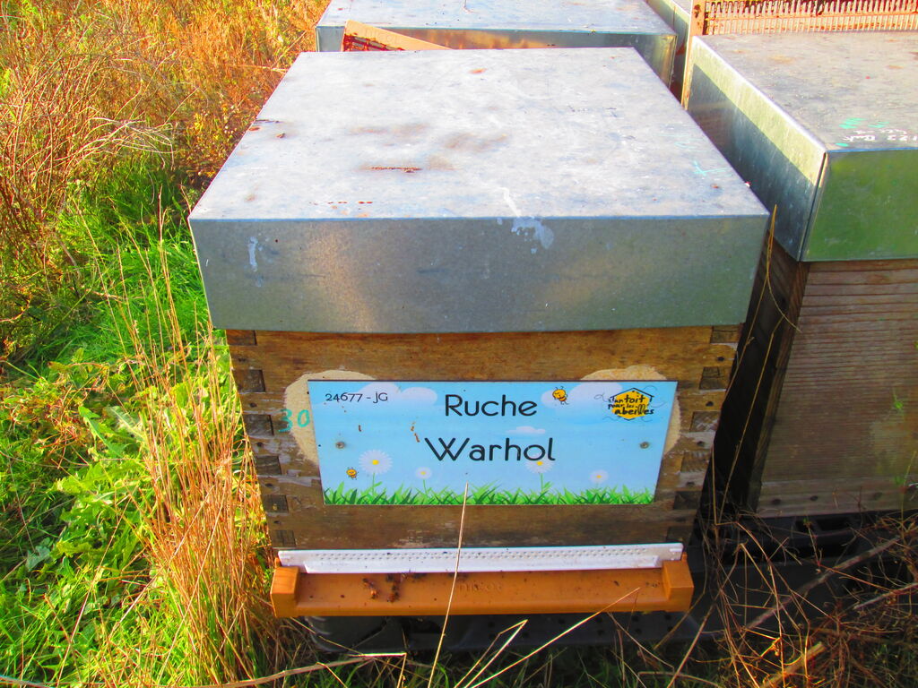 La ruche Warhol