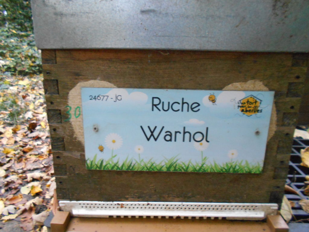 La ruche Warhol