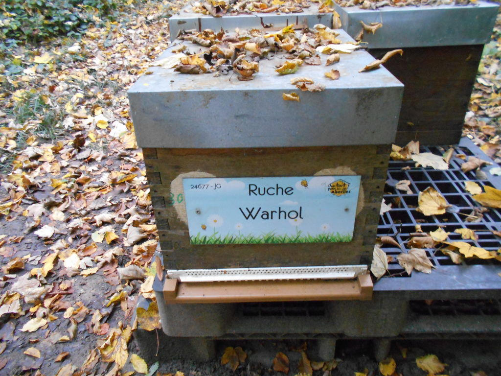 La ruche Warhol