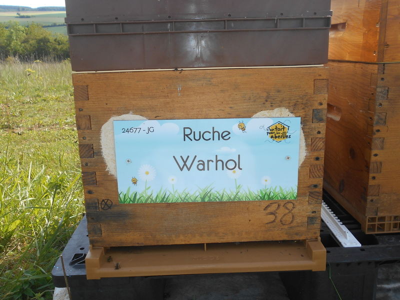La ruche
