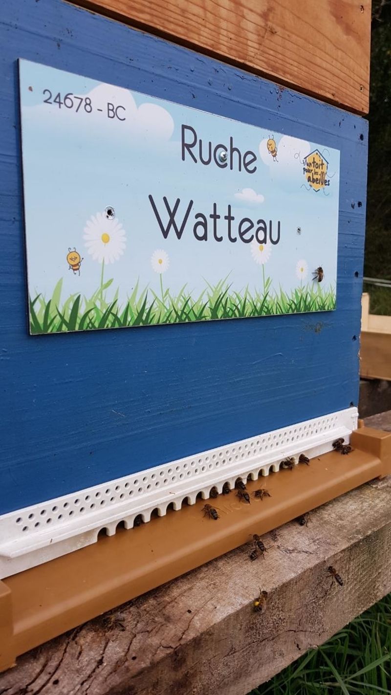 La ruche Watteau