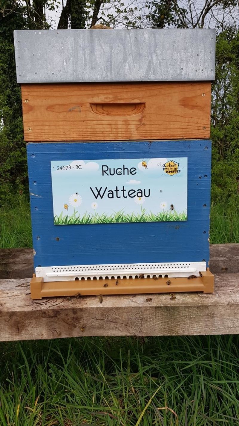 La ruche Watteau